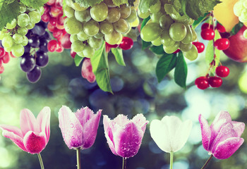 Flowers and fruits in the garden close up