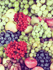 Naklejka na ściany i meble image of many fruit in garden closeup