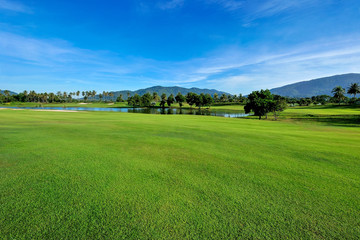 Green grass area in golf courses in bright day.