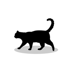 Cat pet black silhouette animal