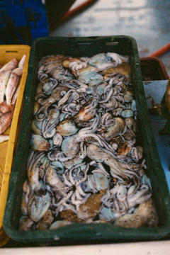 Sea food market