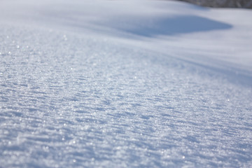 Obraz premium Snowcovered ground.