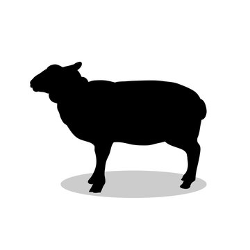 recommend clip art: Sheep farm mammal black silhouette animal