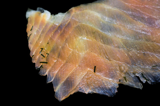 Lachsaufschnitt Images – Browse 15 Stock Photos, Vectors, and Video ...