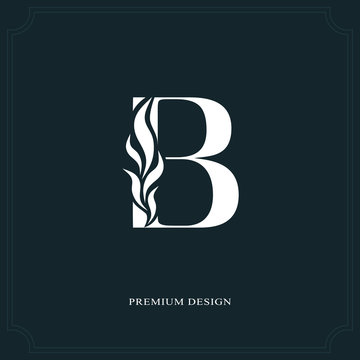 Elegant letter B. Graceful royal style. Calligraphic beautiful logo. Vintage drawn emblem for book design, brand name, business card, Restaurant, Boutique, Hotel. Vector illustration