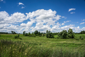 Blue sky over meadow 
