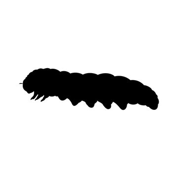Caterpillar Insect Black Silhouette Animal