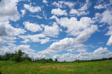 Blue sky over meadow 