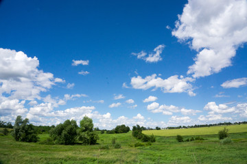 Fototapeta na wymiar Blue sky over meadow 
