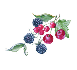Bouquet of cherries, blackberries and red currants. Isolated on white background.