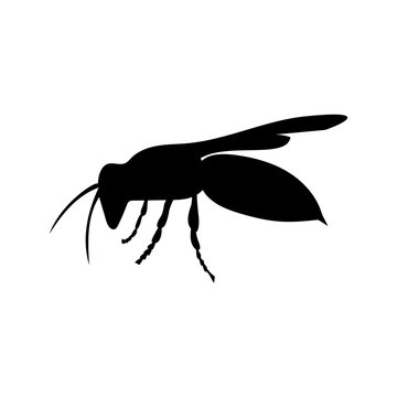 Wasp insect black silhouette animal
