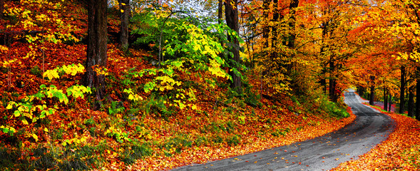 Autumn landscape with bright colorful orange and red trees and leaves along a winding country road....