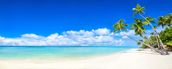Crédence en verre imprimé Plage et mer Panorama de plage avec mer et palmiers