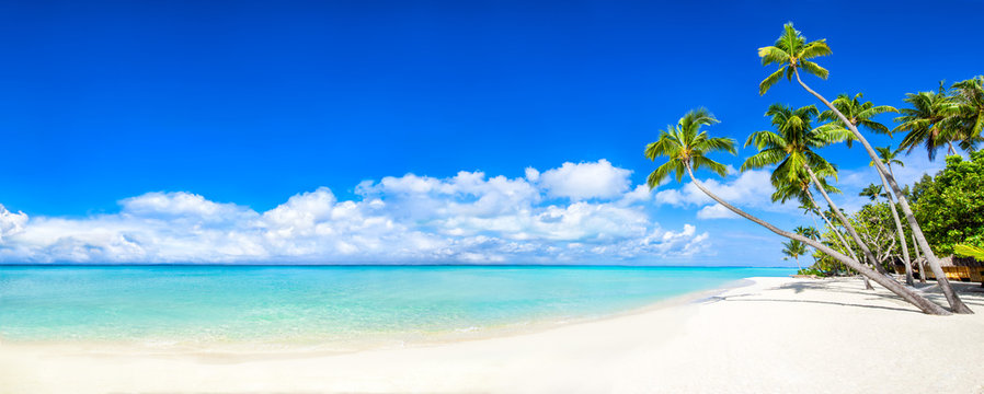 Fototapeta Plażowa panorama z morzem i palmami