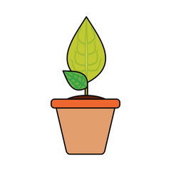 Plant in pot icon vector illustration graphic design