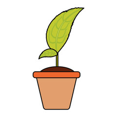 Plant in pot icon vector illustration graphic design