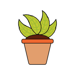 Plant in pot icon vector illustration graphic design