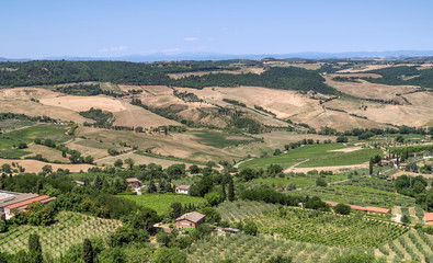 Fototapeta na wymiar Aerial view of expanses of vineyards around Montepulciano, Siena, Italy, famous for its noble wine