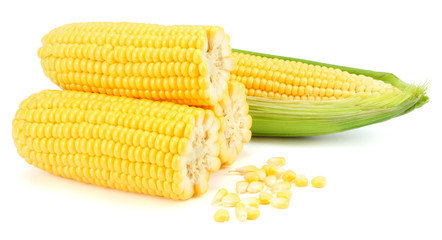 Fresh corn on cob isolated on white background
