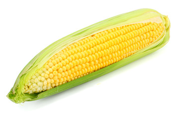 Fresh corn on cob isolated on white background
