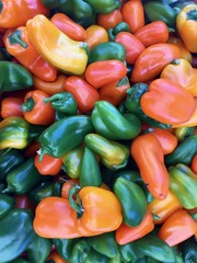 Peppers / capsicums