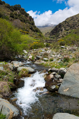 mountain creek in sierra nevada, andalusia, spain
