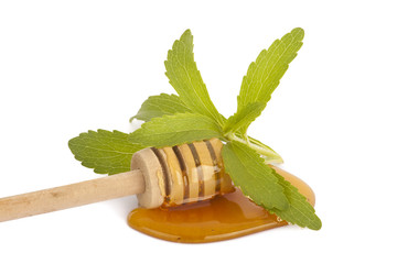 stevia
