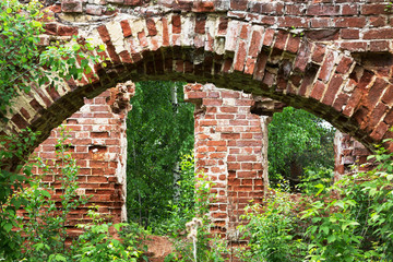 Ruins of an old brick building, overgrown with trees