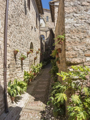 Plants and flowers in pots on narrow streets of the ancient village of Spello, Umbria, Italy