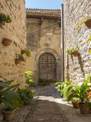 Plants and flowers in pots on narrow streets of the ancient village of Spello, Umbria, Italy