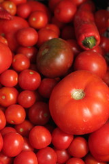 The harvested tomato harvest in the box