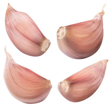 Set of garlic isolated on white background