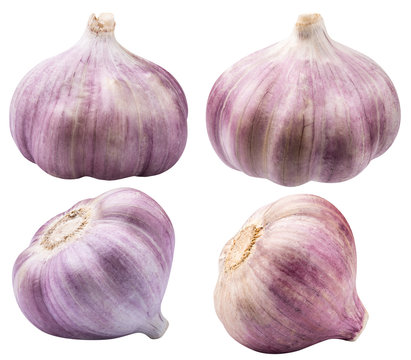 Set of garlic isolated on white background