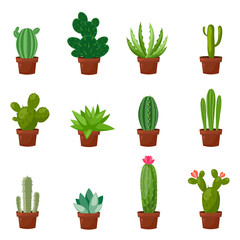 Set of desert or room green cactus. Flat and cartoon style. Vector illustration on white background. Element for your design.