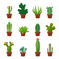 Set woestijn of kamer groene cactus. Platte en cartoonstijl. Vectorillustratie op witte achtergrond. Element voor uw ontwerp.