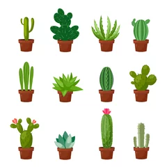 Poster Cactus in pot Set woestijn of kamer groene cactus. Platte en cartoonstijl. Vectorillustratie op witte achtergrond. Element voor uw ontwerp.