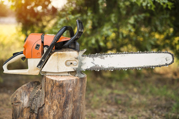 Let's cut with chainsaw. Lumberjack professional tool.