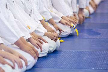 Group of children in kimono sitting on tatami in a line