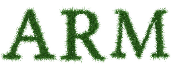 Arm - 3D rendering fresh Grass letters isolated on whhite background.