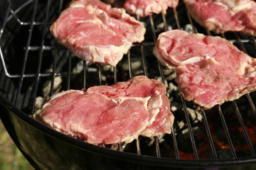 Raw steaks on grill outdoors