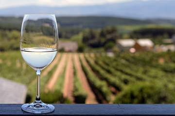White wine glass with blurred vineyards background - obrazy, fototapety, plakaty
