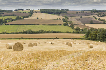 Hay Bales Ready For Storage