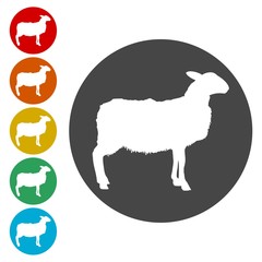 Sheep icons set - vector illustration 