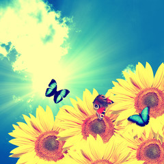 Fototapeta na wymiar Wunderschöne Sonnenblume mit Schmetterlingen