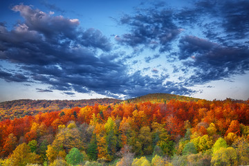 Fototapety  mountain autumn landscape with colorful forest