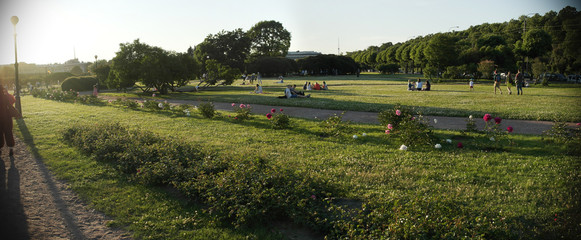 Marsovo Polye of St. Petersburg town 