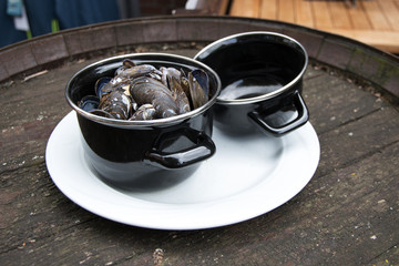 Muschelzeit