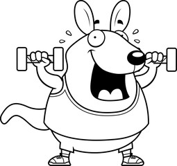 Cartoon Wallaby Dumbbells