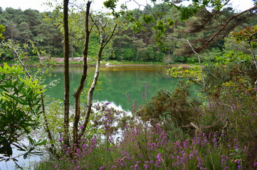 Wareham Blue Pool