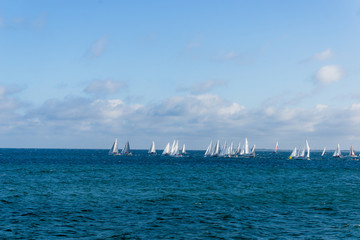 yacht race baltic sea